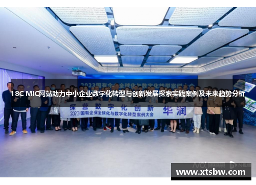 18C MIC网站助力中小企业数字化转型与创新发展探索实践案例及未来趋势分析